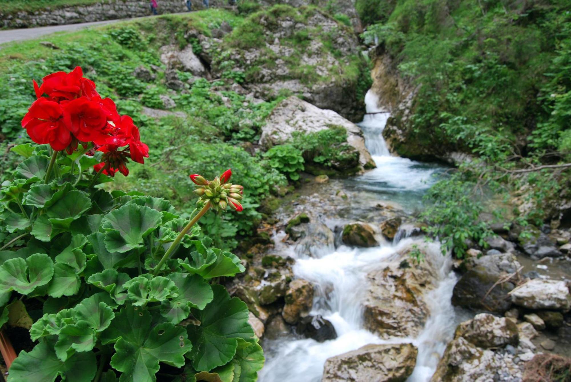 Dolomitissime Holiday Homes Marmolada Rocca Pietore Zewnętrze zdjęcie
